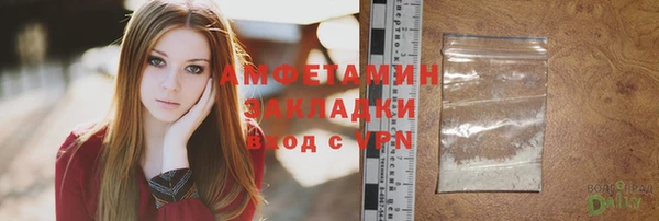 ПСИЛОЦИБИНОВЫЕ ГРИБЫ Вяземский