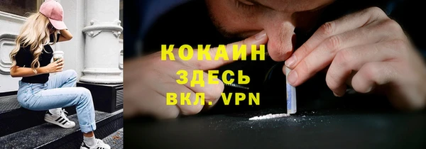 ПСИЛОЦИБИНОВЫЕ ГРИБЫ Вяземский