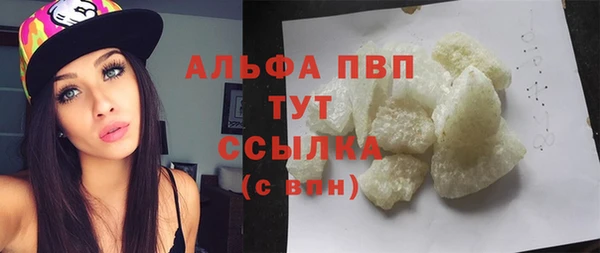 ПСИЛОЦИБИНОВЫЕ ГРИБЫ Вяземский
