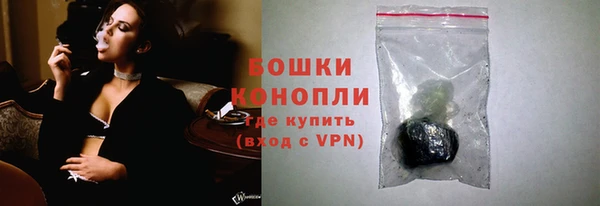 ПСИЛОЦИБИНОВЫЕ ГРИБЫ Вяземский