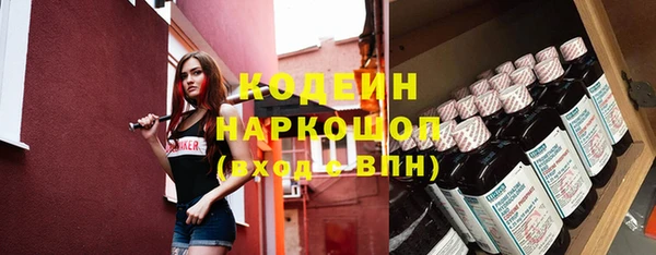 ПСИЛОЦИБИНОВЫЕ ГРИБЫ Вяземский