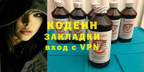 ПСИЛОЦИБИНОВЫЕ ГРИБЫ Вяземский